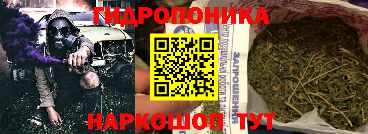 МАРИХУАНА сатива Белореченск